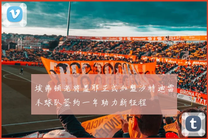 埃弗顿老将盖耶正式加盟沙特迪雷禾球队签约一年助力新征程
