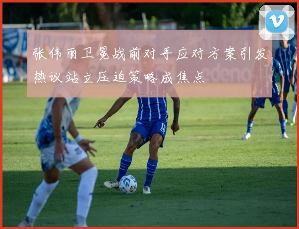 张伟丽卫冕战前对手应对方案引发热议站立压迫策略成焦点
